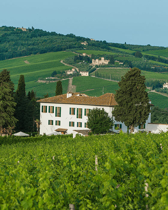 Weine und Produkte des Weingut La Madonnina - Casa Vinicola Triacca