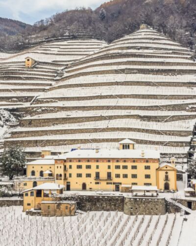 Pranzo alla Tenuta